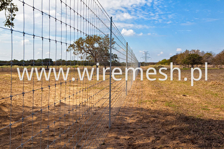 Field Fence